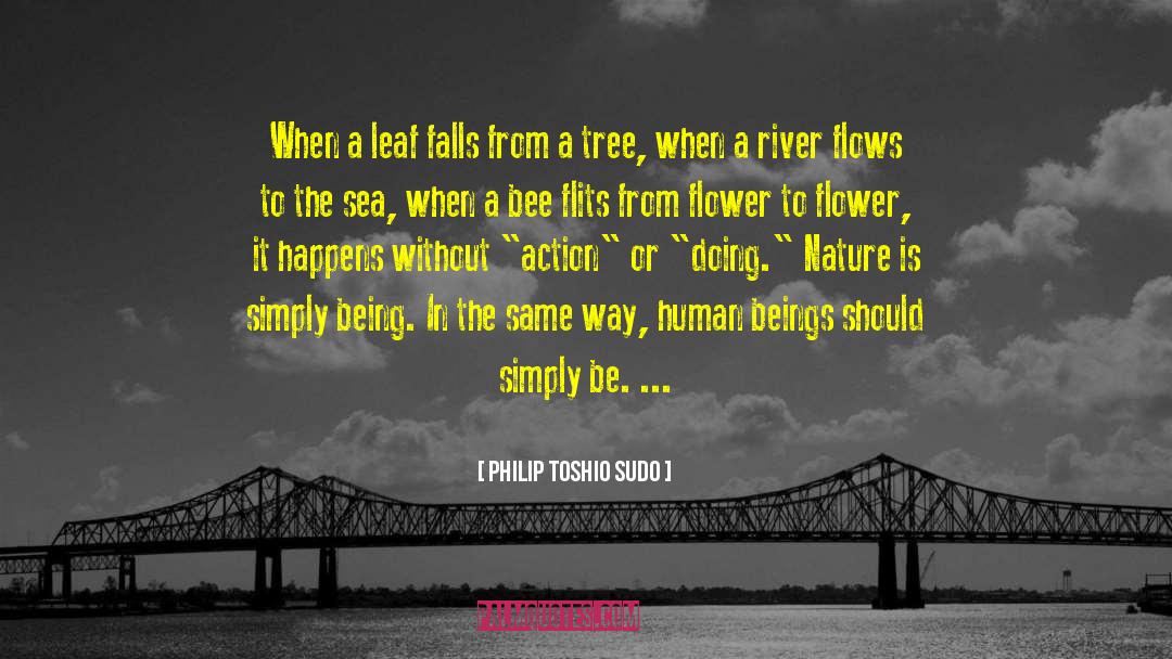 Philip Toshio Sudo Quotes: When a leaf falls from