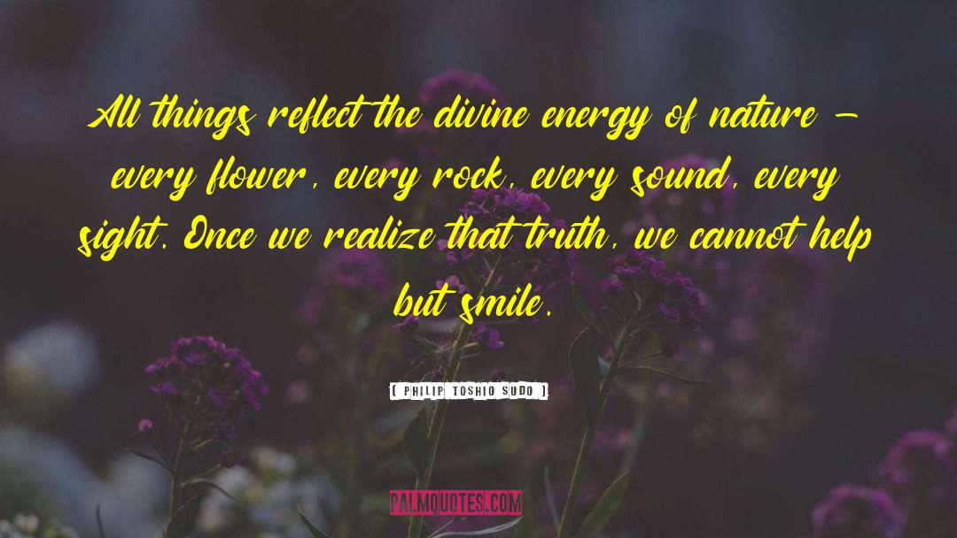 Philip Toshio Sudo Quotes: All things reflect the divine