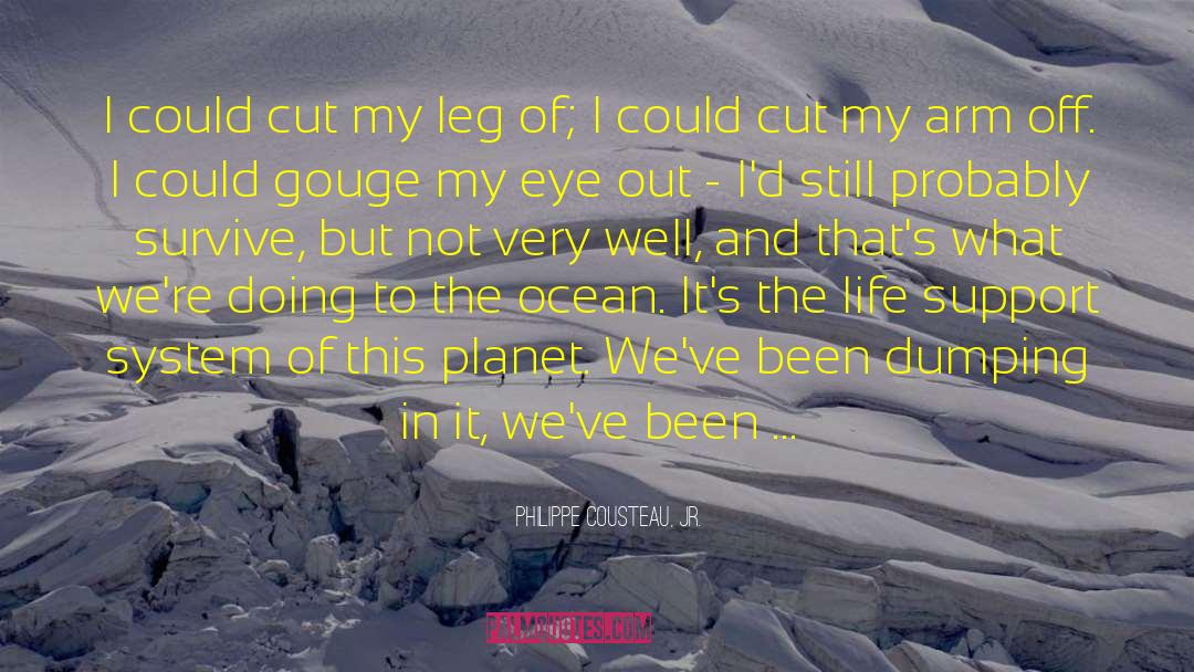 Philippe Cousteau, Jr. Quotes: I could cut my leg