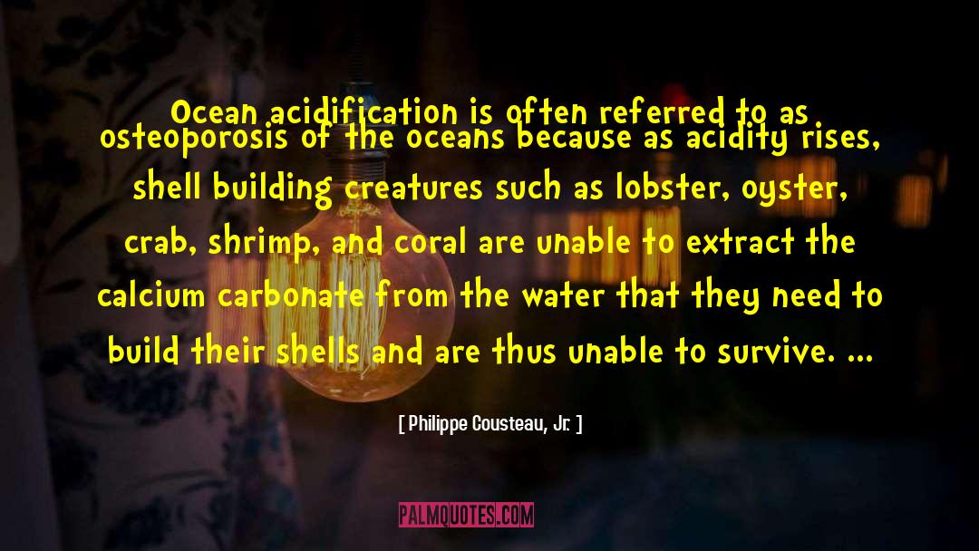 Philippe Cousteau, Jr. Quotes: Ocean acidification is often referred