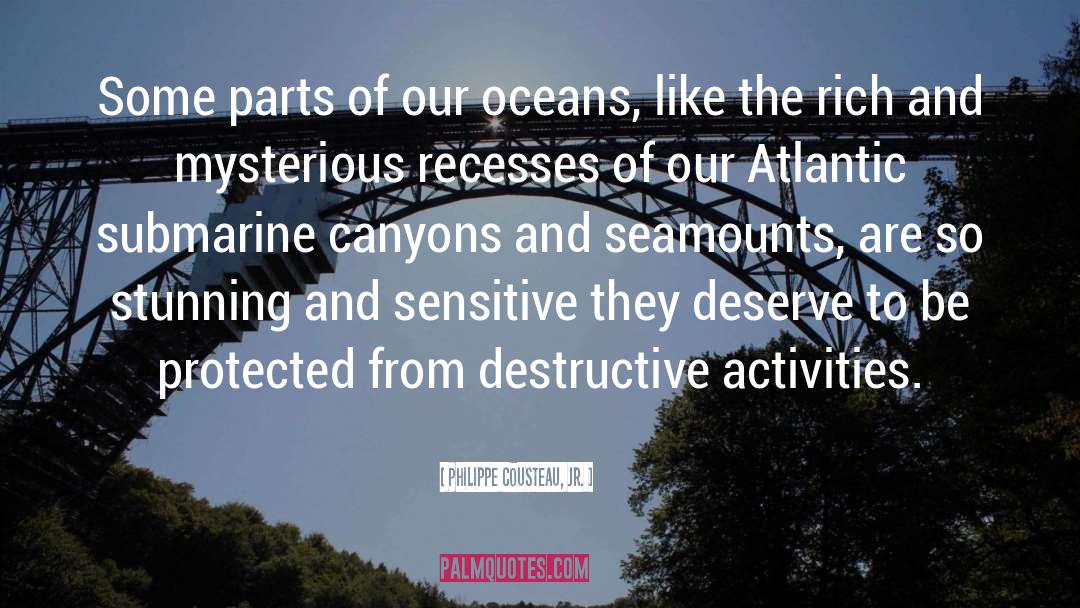 Philippe Cousteau, Jr. Quotes: Some parts of our oceans,