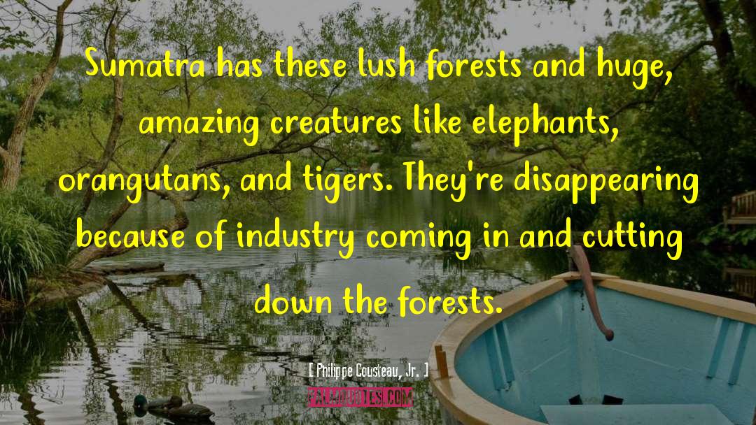 Philippe Cousteau, Jr. Quotes: Sumatra has these lush forests