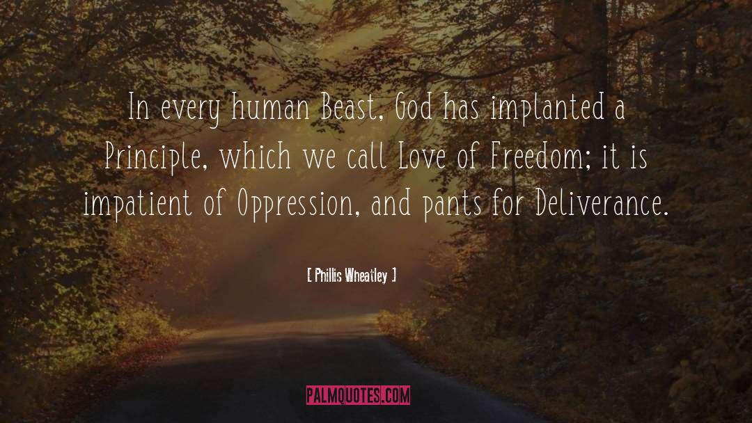 Phillis Wheatley Quotes: In every human Beast, God