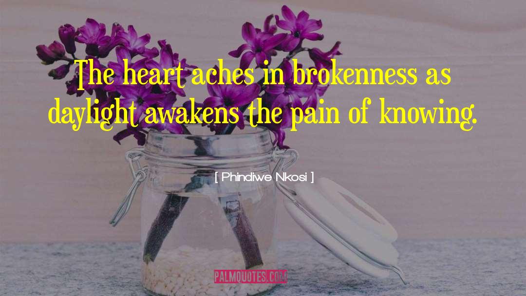 Phindiwe Nkosi Quotes: The heart aches in brokenness