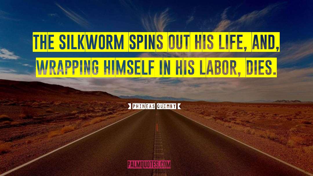 Phineas Quimby Quotes: The silkworm spins out his