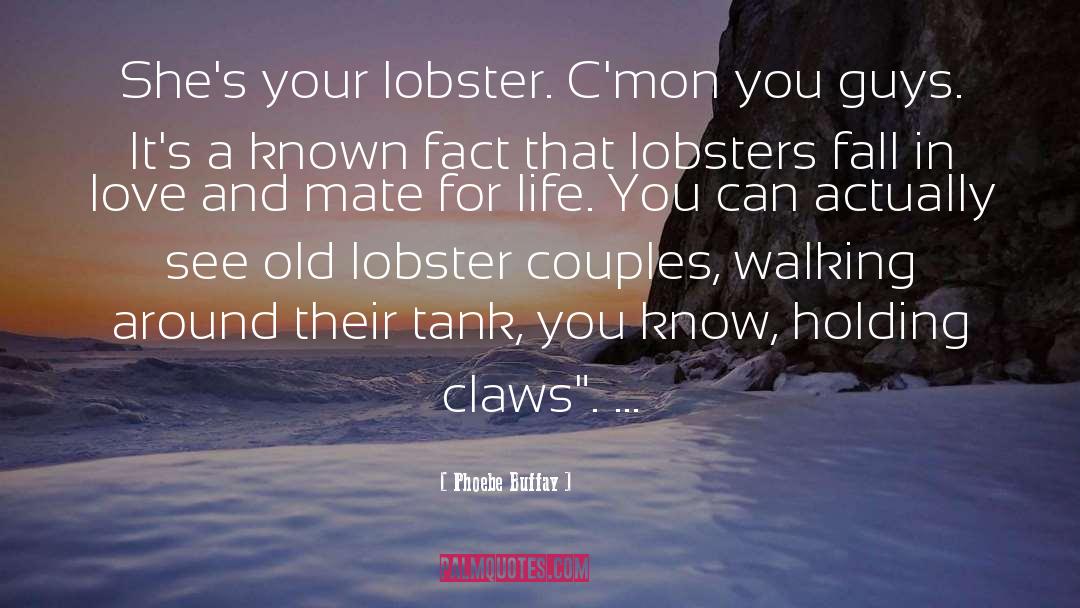 Phoebe Buffay Quotes: She's your lobster. C'mon you