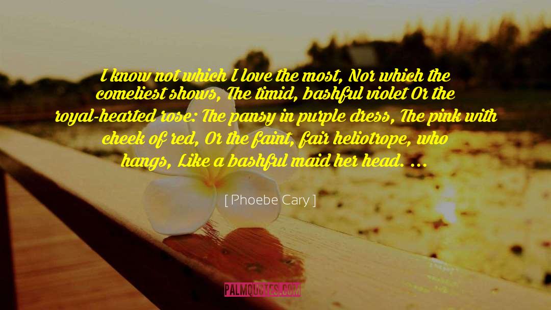 Phoebe Cary Quotes: I know not which I