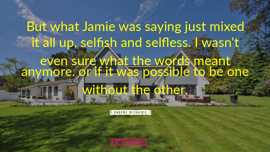Phoebe Kitanidis Quotes: But what Jamie was saying