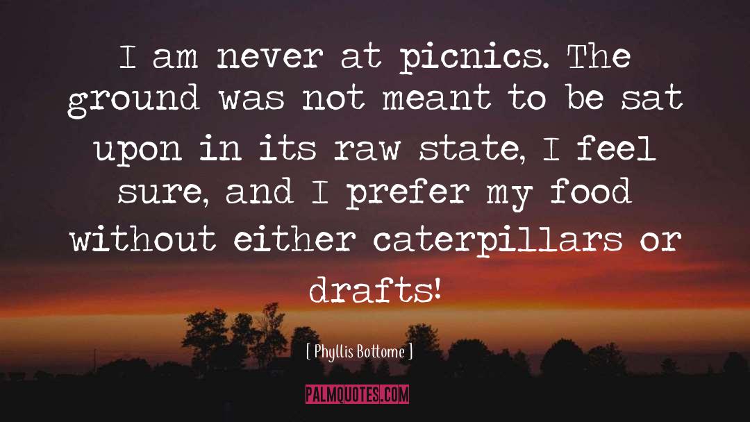 Phyllis Bottome Quotes: I am never at picnics.