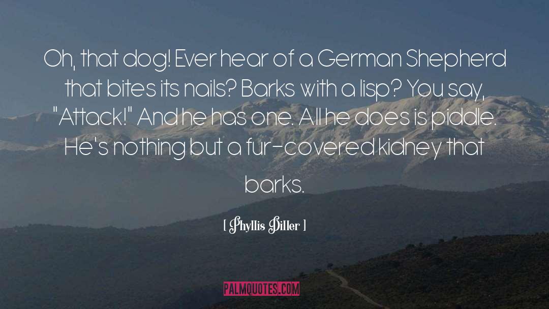 Phyllis Diller Quotes: Oh, that dog! Ever hear