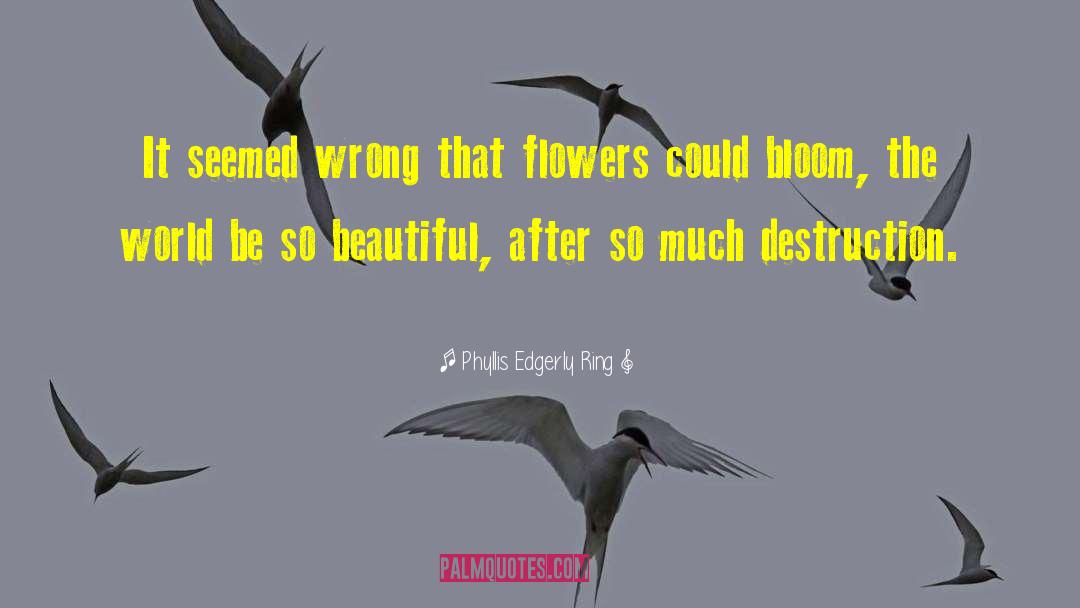 Phyllis Edgerly Ring Quotes: It seemed wrong that flowers