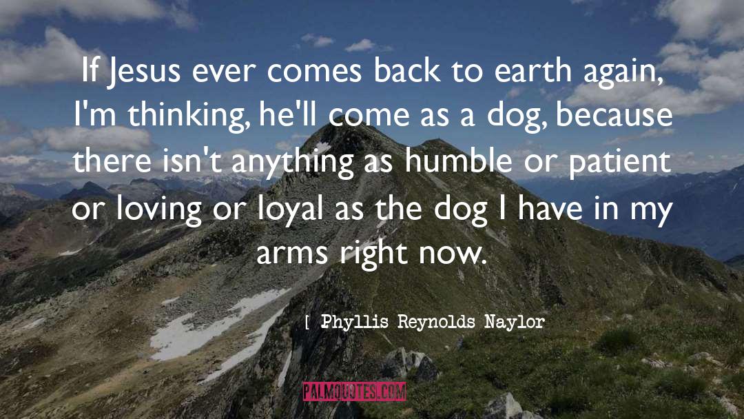 Phyllis Reynolds Naylor Quotes: If Jesus ever comes back