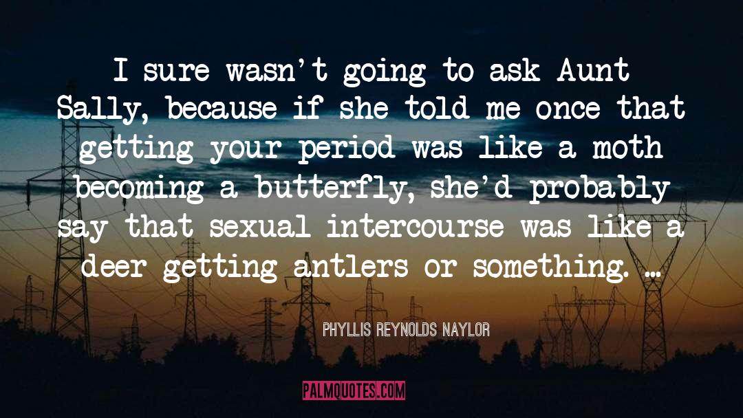 Phyllis Reynolds Naylor Quotes: I sure wasn't going to
