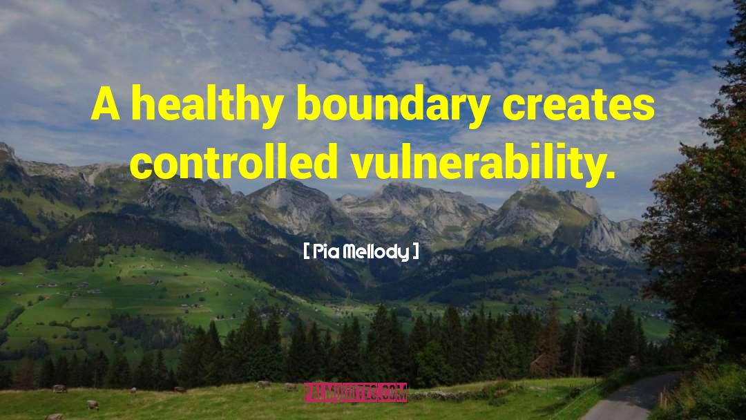 Pia Mellody Quotes: A healthy boundary creates controlled