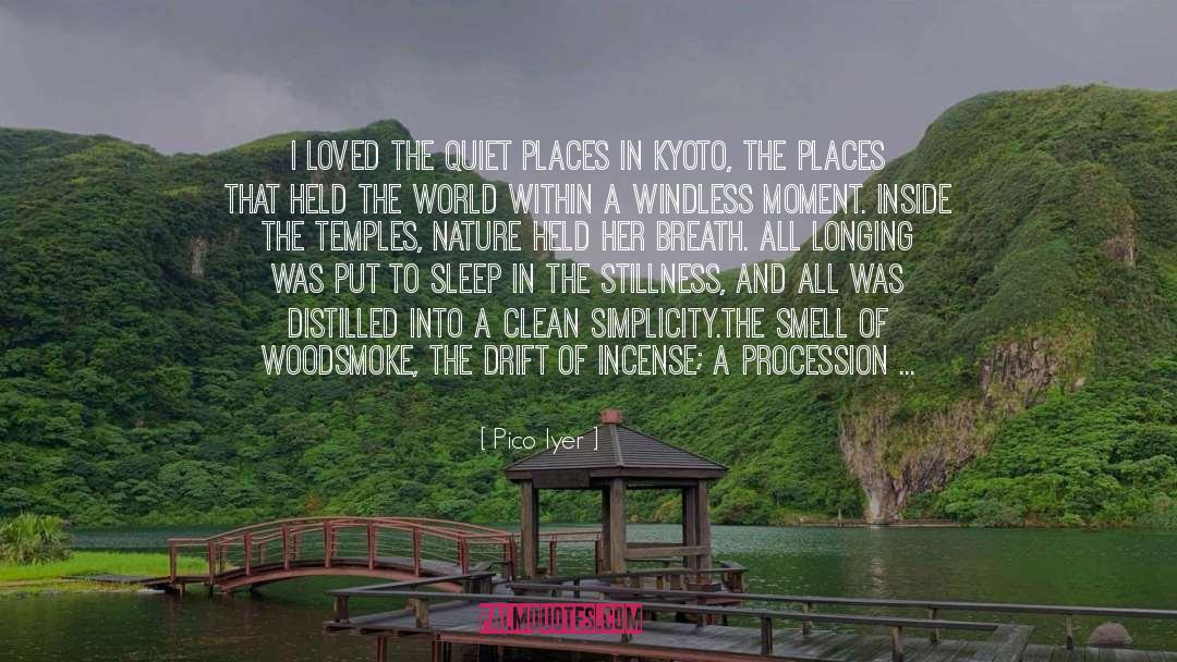 Pico Iyer Quotes: I loved the quiet places