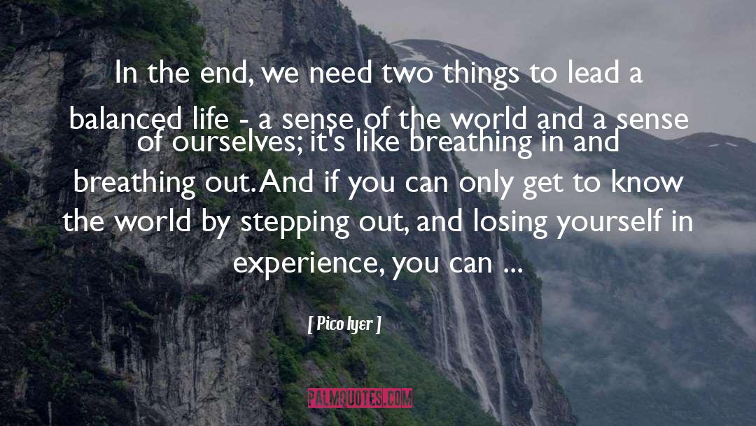Pico Iyer Quotes: In the end, we need