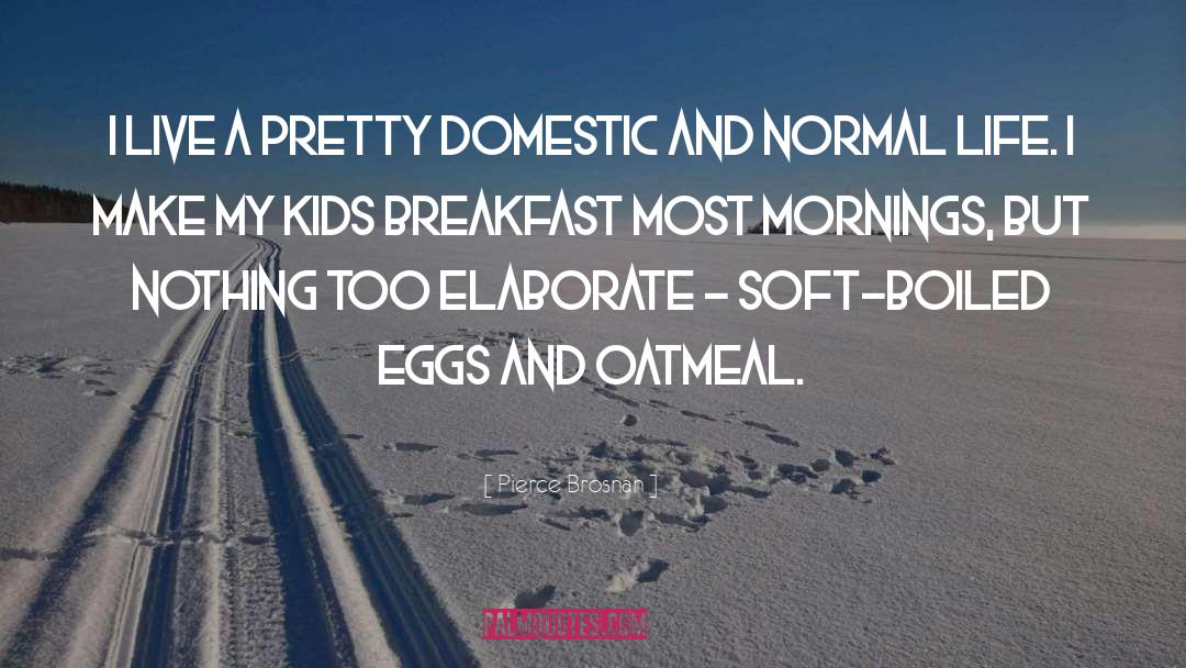 Pierce Brosnan Quotes: I live a pretty domestic