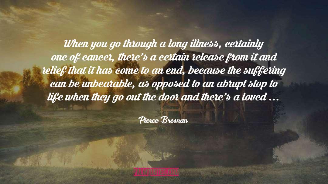 Pierce Brosnan Quotes: When you go through a