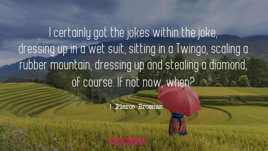 Pierce Brosnan Quotes: I certainly got the jokes