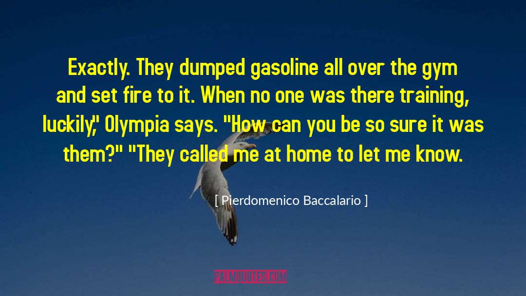 Pierdomenico Baccalario Quotes: Exactly. They dumped gasoline all