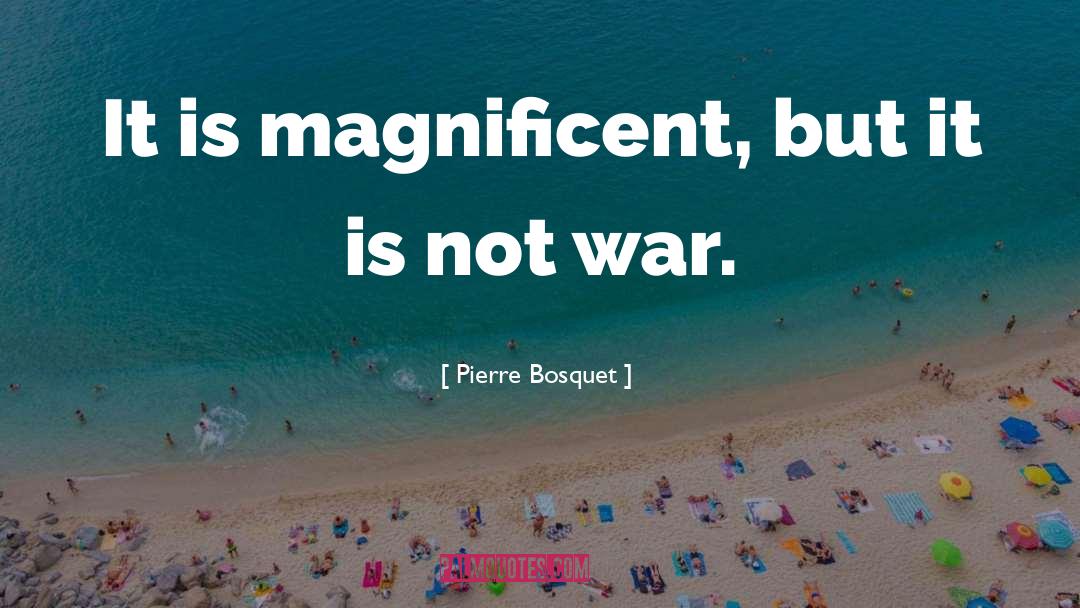 Pierre Bosquet Quotes: It is magnificent, but it