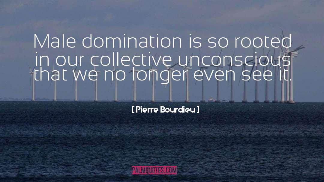 Pierre Bourdieu Quotes: Male domination is so rooted