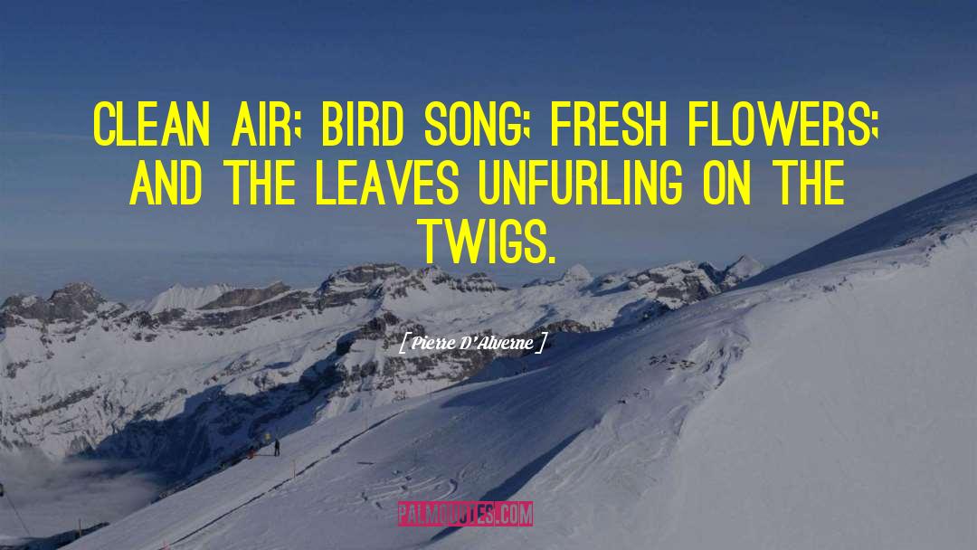 Pierre D'Alverne Quotes: Clean air; bird song; fresh