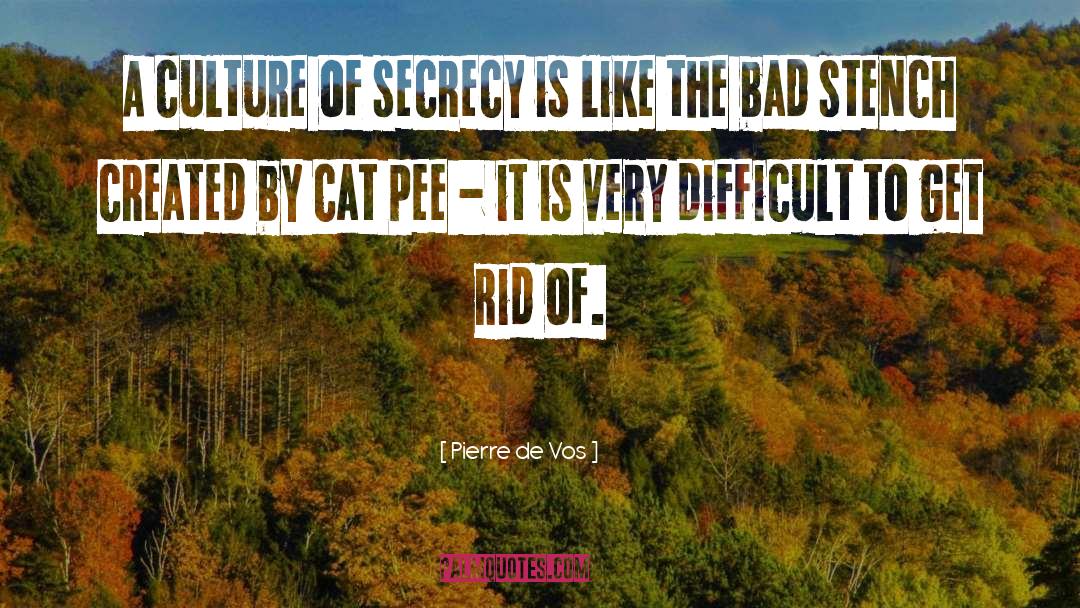 Pierre De Vos Quotes: A culture of secrecy is
