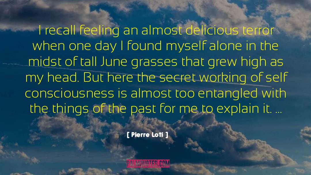 Pierre Loti Quotes: I recall feeling an almost