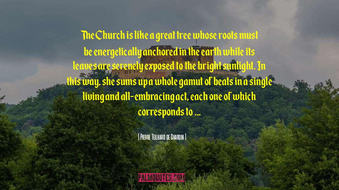 Pierre Teilhard De Chardin Quotes: The Church is like a