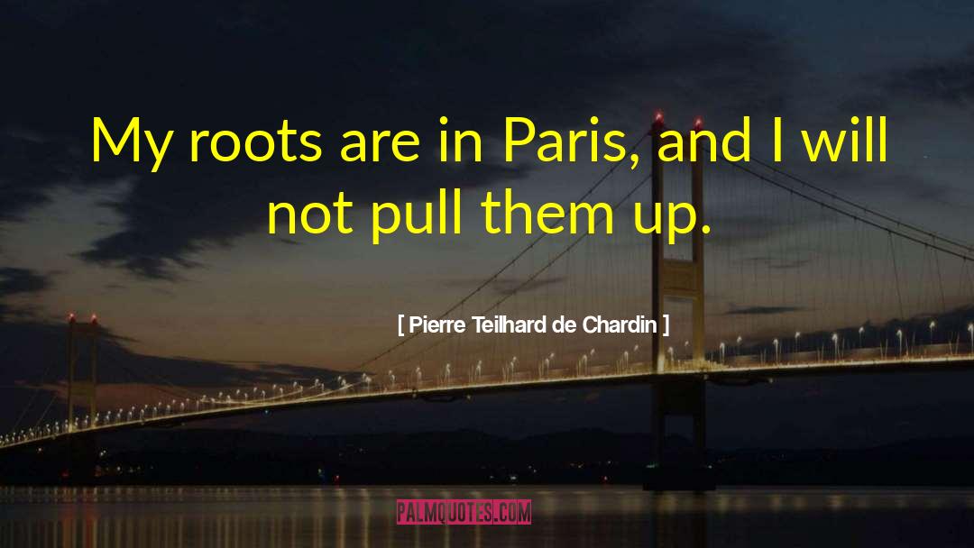 Pierre Teilhard De Chardin Quotes: My roots are in Paris,