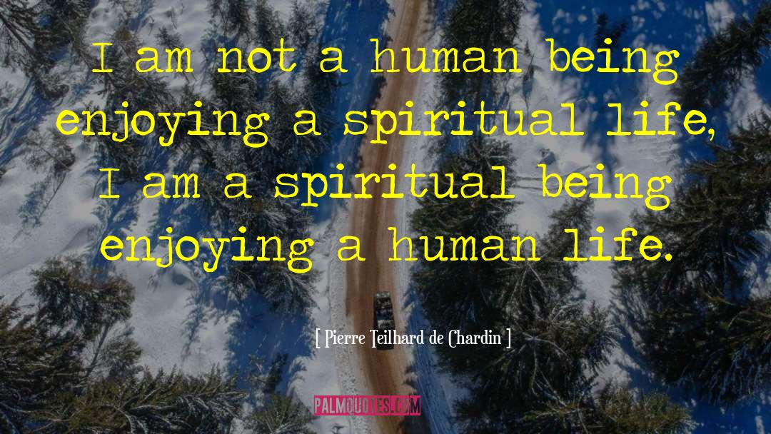 Pierre Teilhard De Chardin Quotes: I am not a human