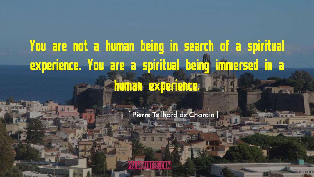 Pierre Teilhard De Chardin Quotes: You are not a human