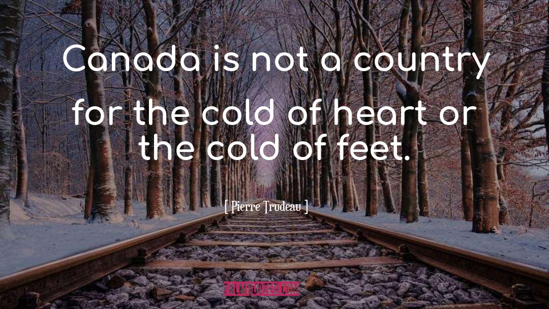 Pierre Trudeau Quotes: Canada is not a country