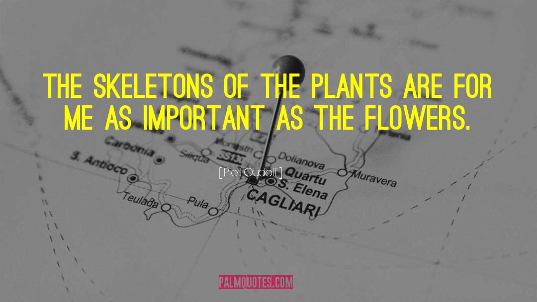 Piet Oudolf Quotes: The skeletons of the plants