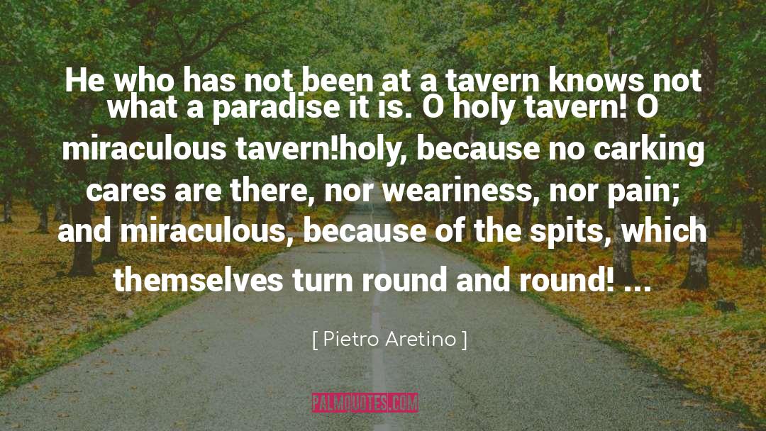 Pietro Aretino Quotes: He who has not been