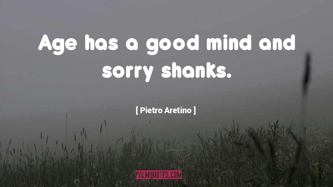 Pietro Aretino Quotes: Age has a good mind