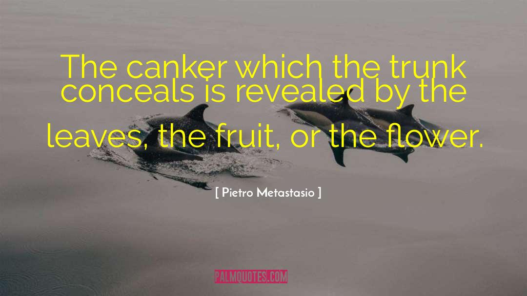 Pietro Metastasio Quotes: The canker which the trunk