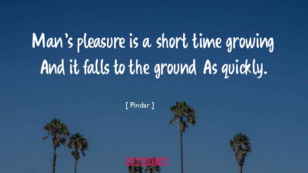 Pindar Quotes: Man's pleasure is a short