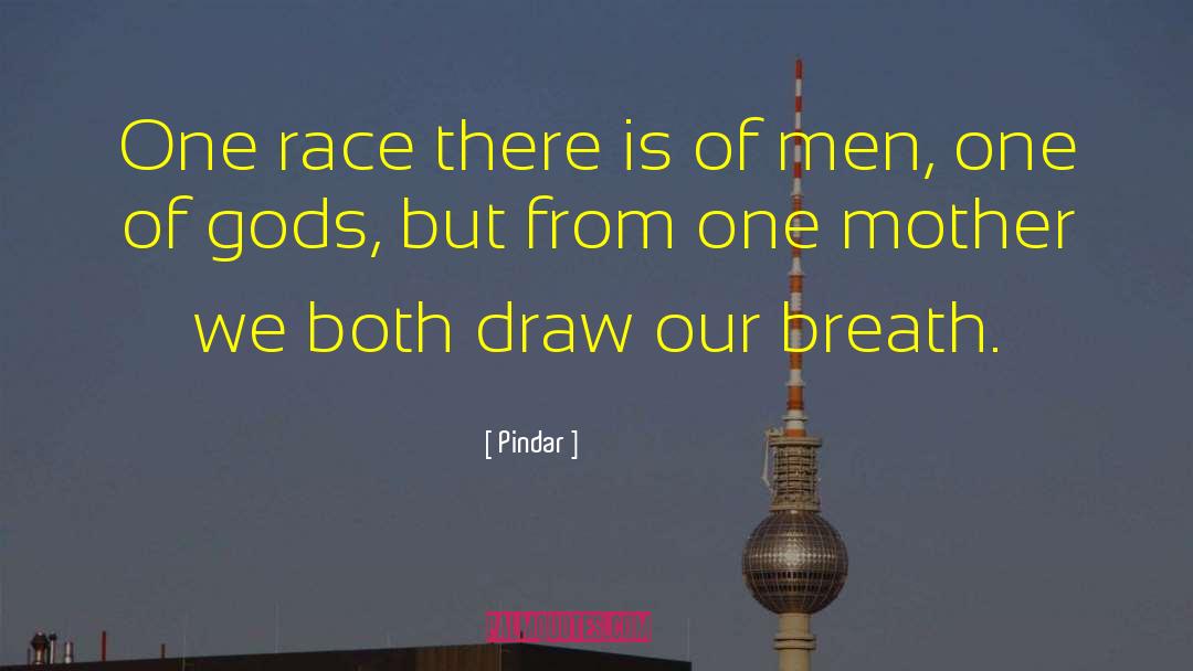 Pindar Quotes: One race there is of