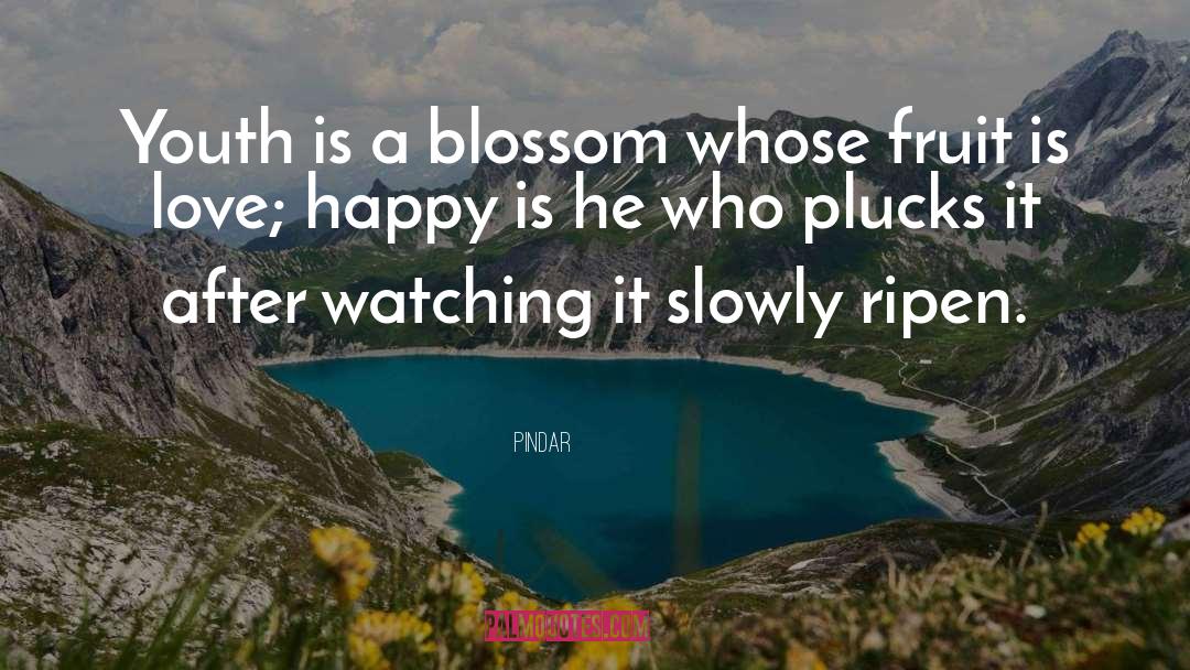 Pindar Quotes: Youth is a blossom whose