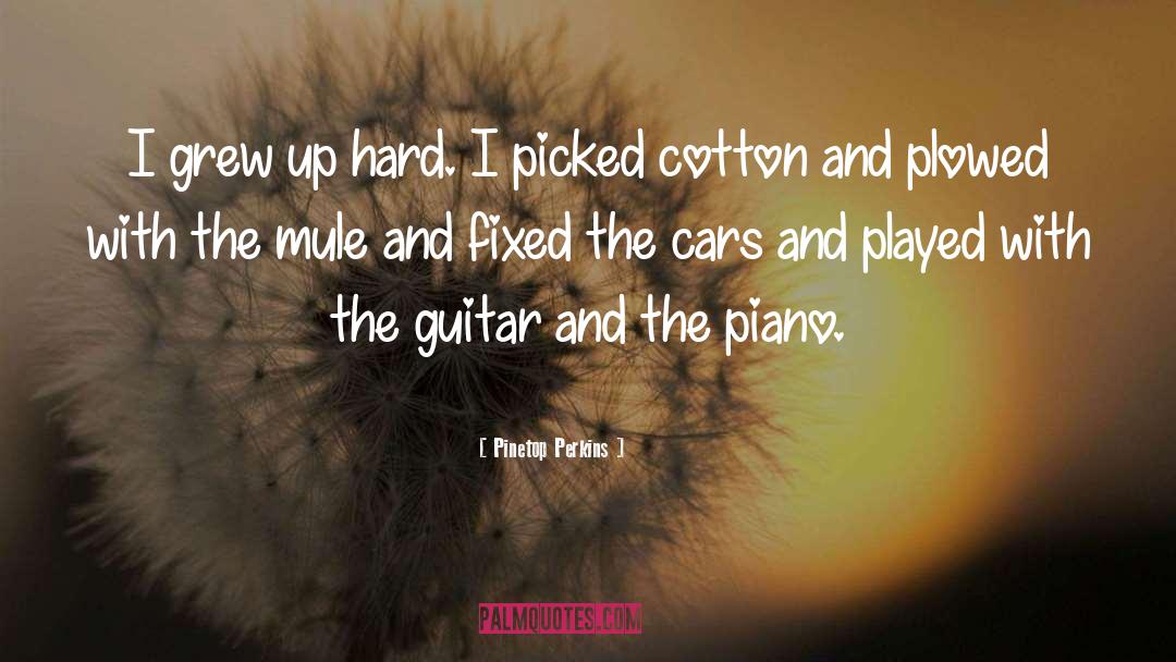 Pinetop Perkins Quotes: I grew up hard. I