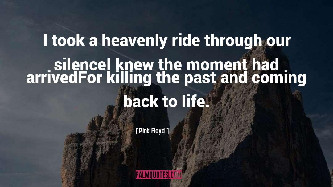 Pink Floyd Quotes: I took a heavenly ride
