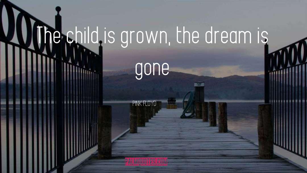 Pink Floyd Quotes: The child is grown, the