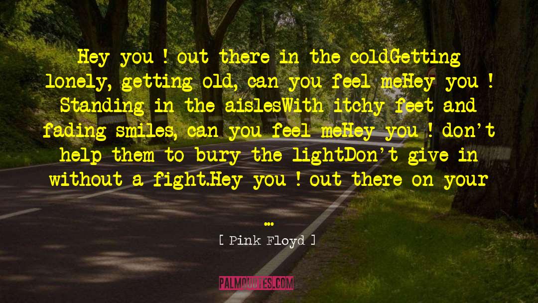 Pink Floyd Quotes: Hey you ! out there