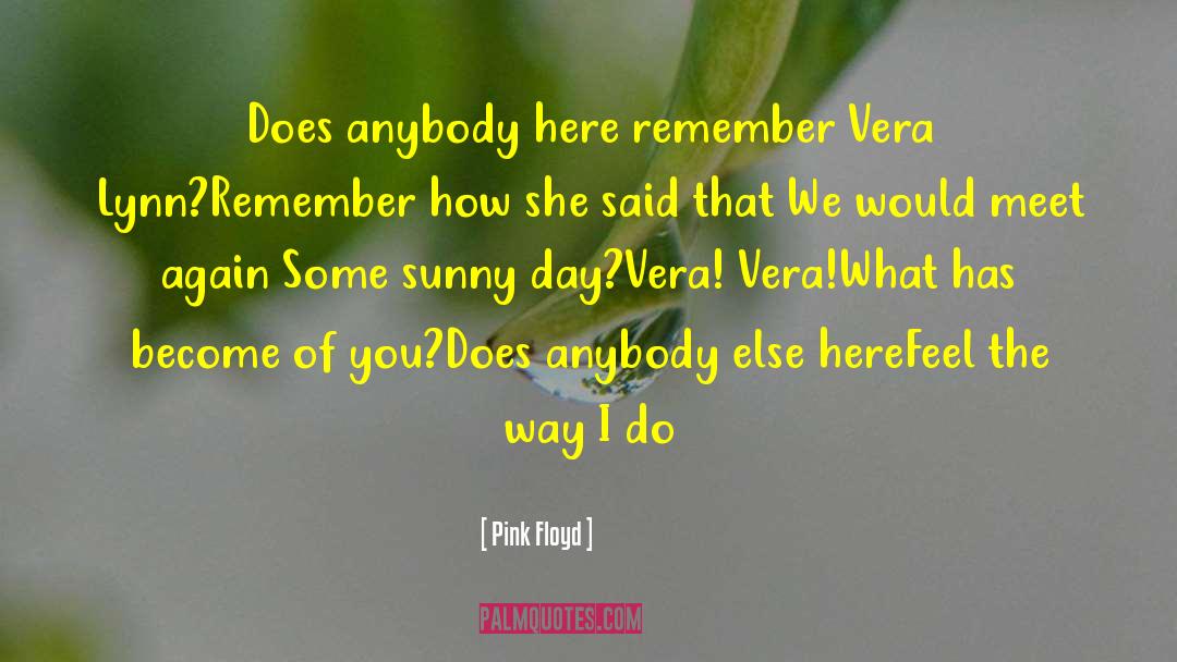 Pink Floyd Quotes: Does anybody here remember Vera