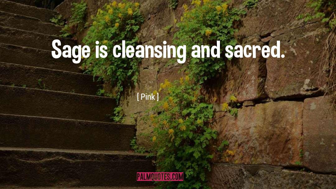 Pink Quotes: Sage is cleansing and sacred.