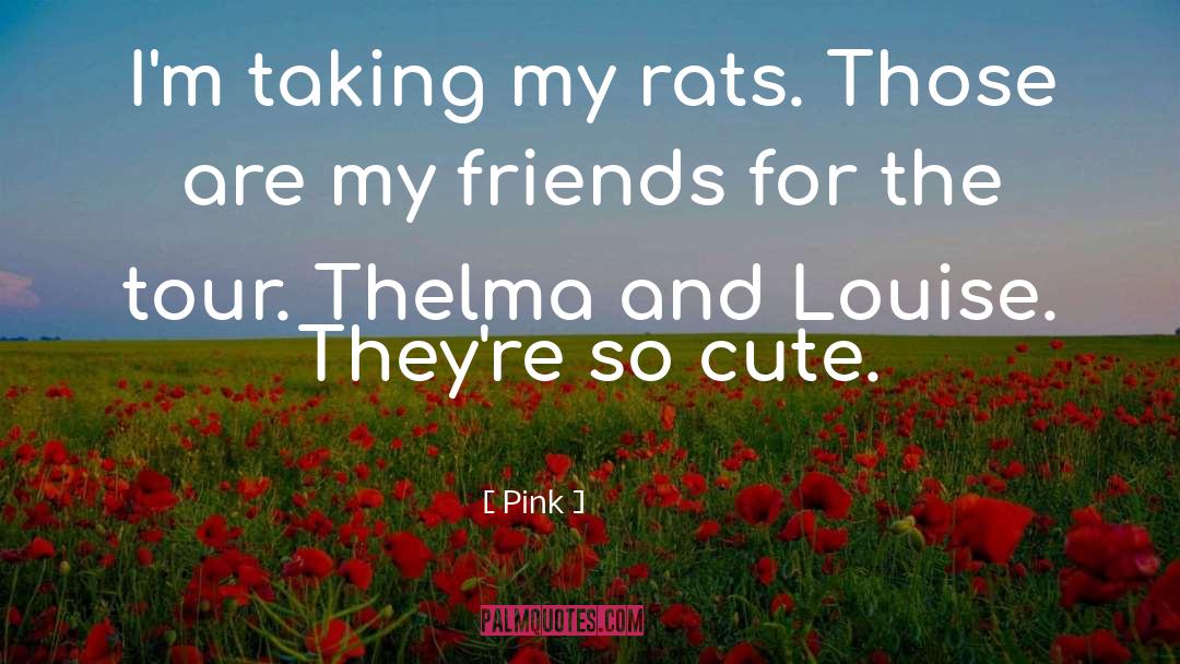 Pink Quotes: I'm taking my rats. Those