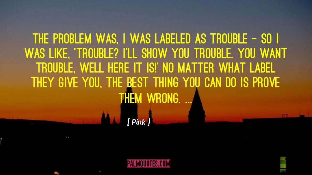 Pink Quotes: The problem was, I was