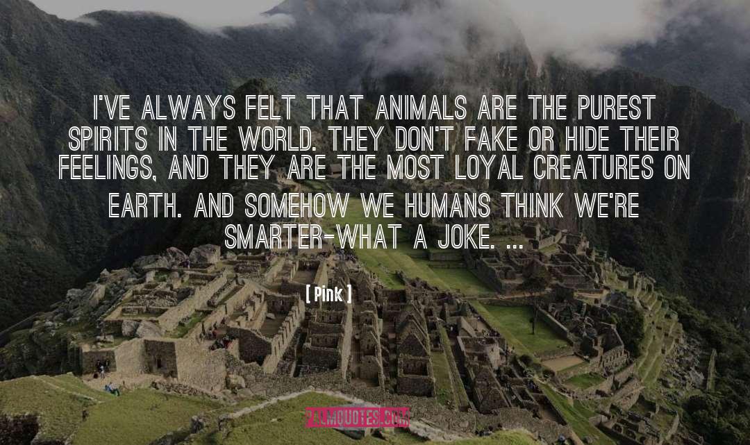 Pink Quotes: I've always felt that animals
